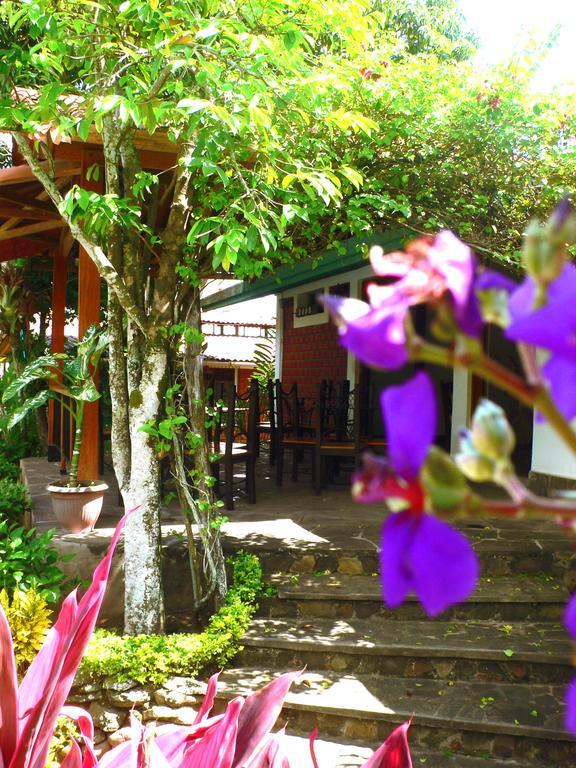 Bubinzana Magical Lodge Tarapoto Bagian luar foto